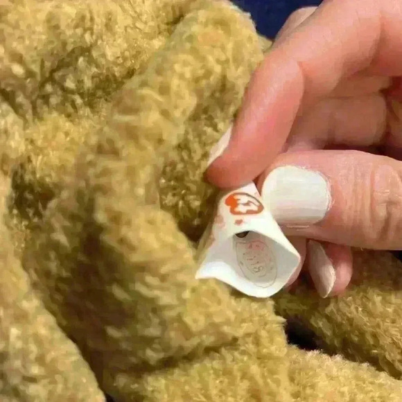 Curly the bear Ty Beanie Baby, with errors - Picture 8 of 8